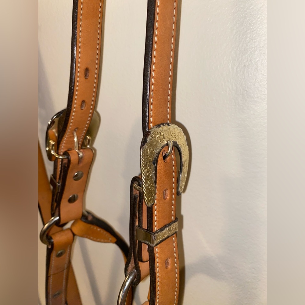 Show Halter - Picture 5 of 6
